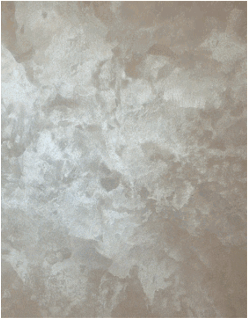 尊龙新版人生就是博!(中国)官方网站