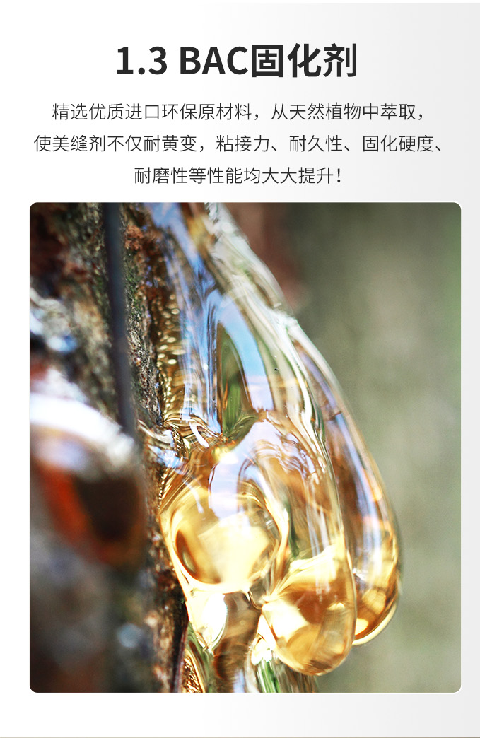 尊龙新版人生就是博!(中国)官方网站